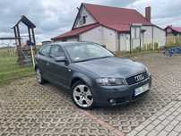 Audi A3 8P . 1.9 tdi