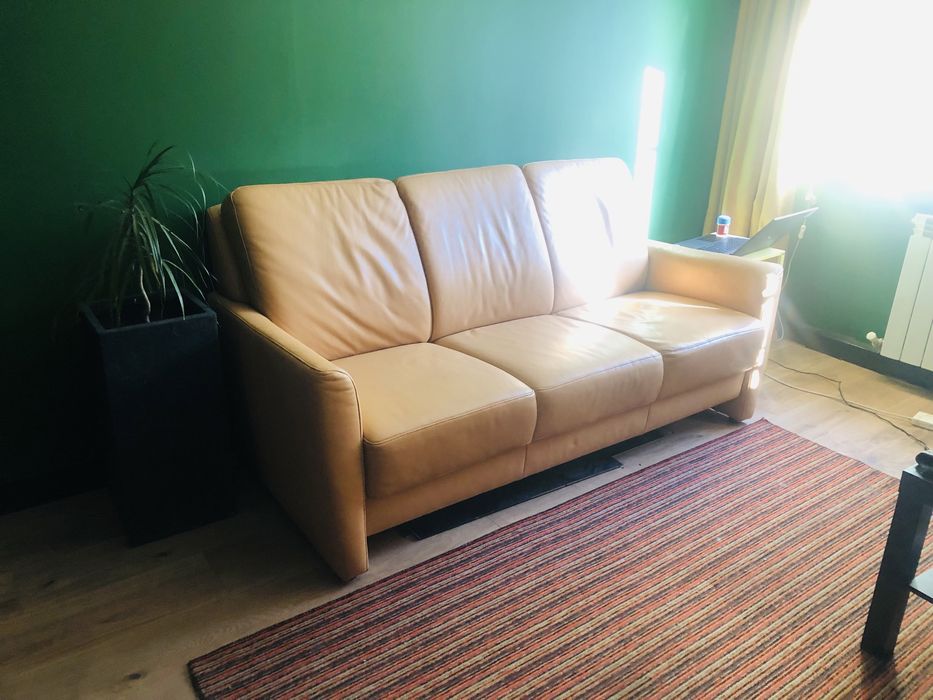 Шкіряний диван нерозкладний