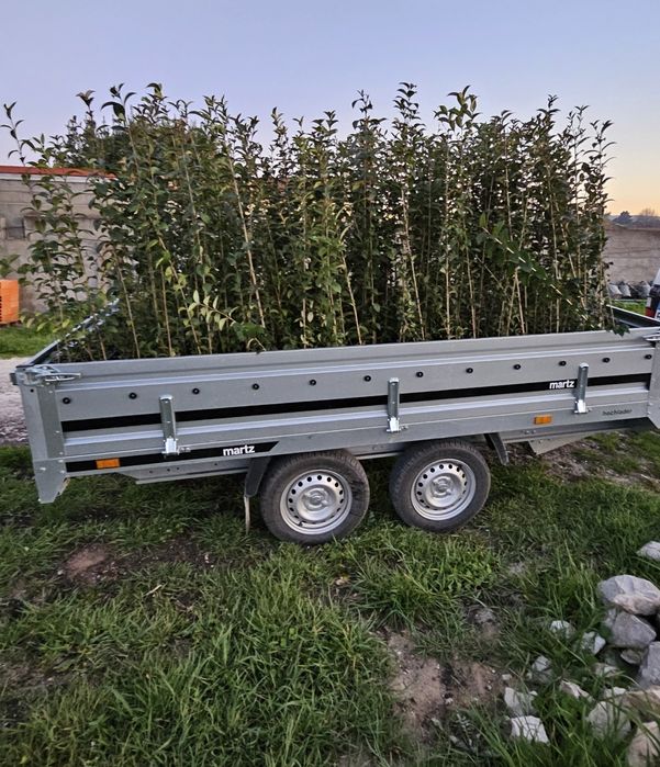 Aluguer / Transporte ocasional com engate de reboque
