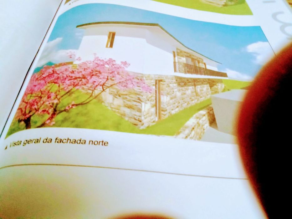 Casa em ruínas Gêmeos Guimarães tem 10 mil euros em pedra