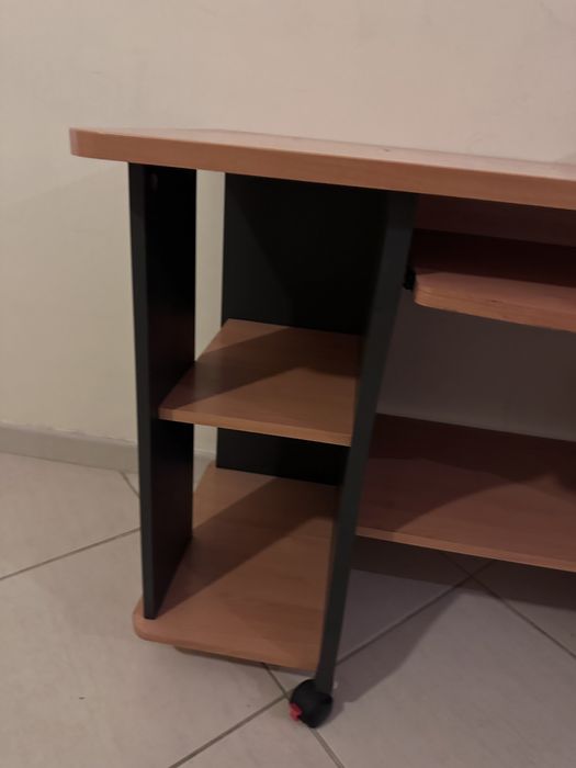Secretaria castanha