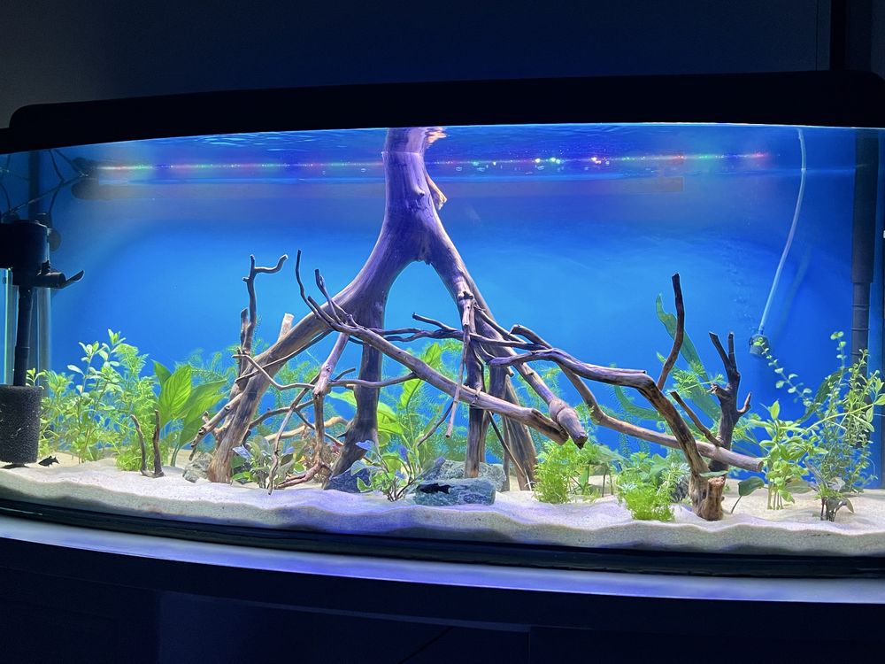Akwarium 205 l z filtrem