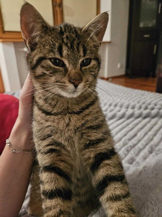 Pokochaj mnie, jestem cudowny Ares