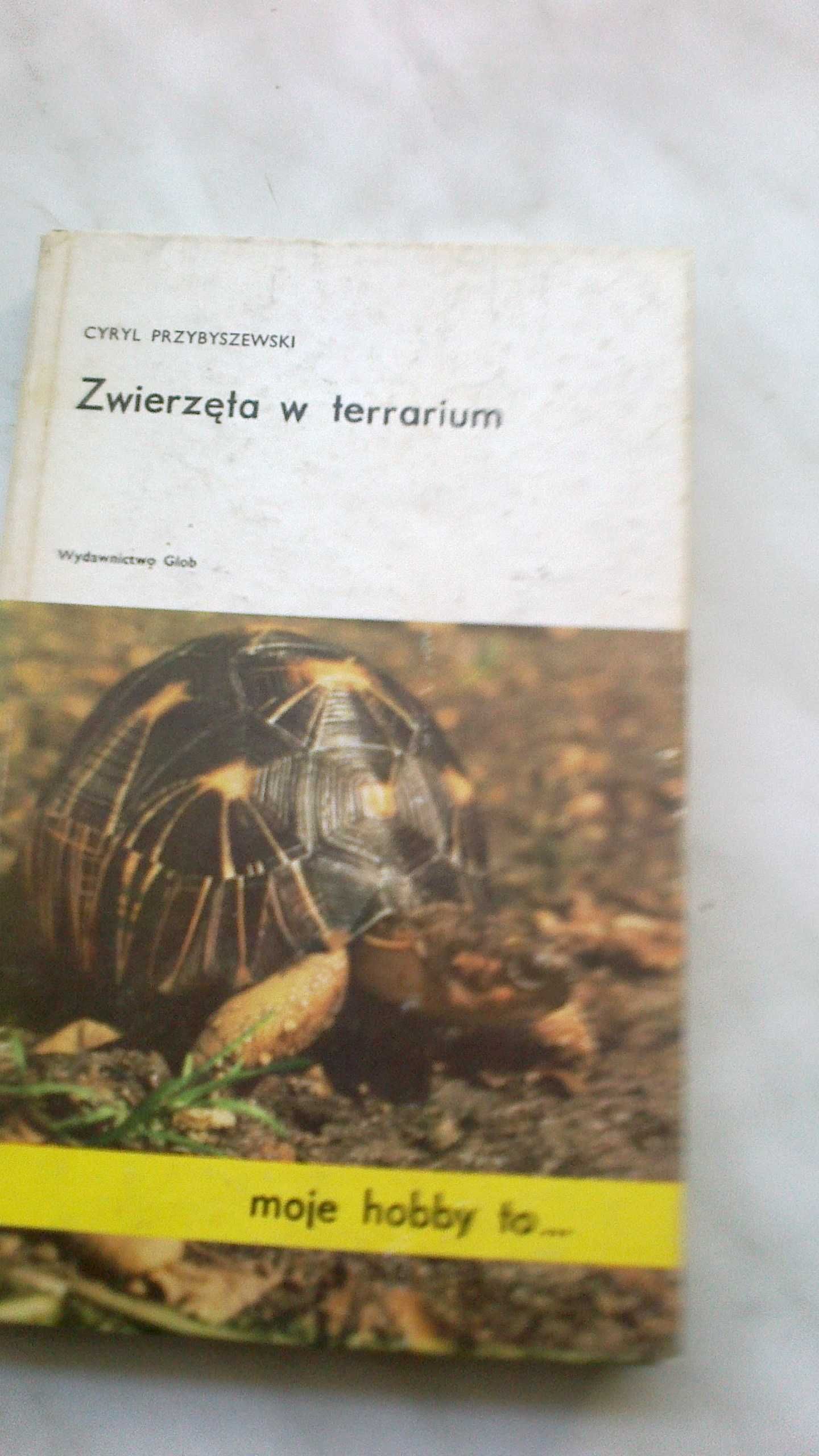 Zwierzęta w terrarium .  " Cyryl Przybyszewski"