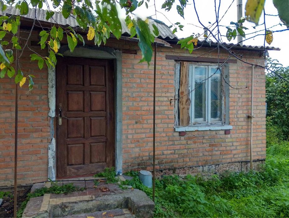 Продам будинок з 10 сотками землі, Борова, від власника!