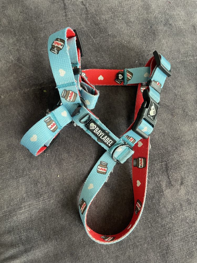 Baylabel cutella S szelki