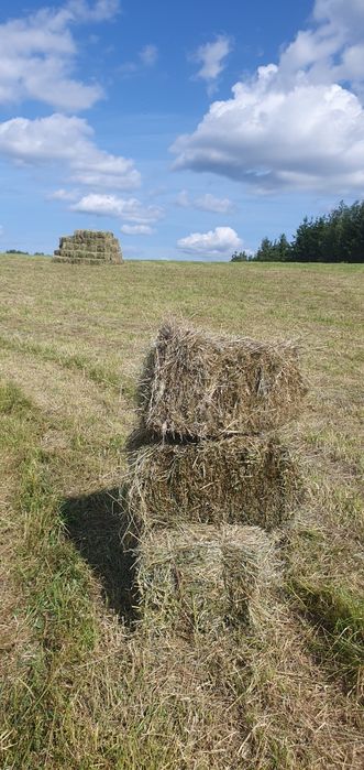 Siano w kostkach, lucerna, ciuki. Transport!
