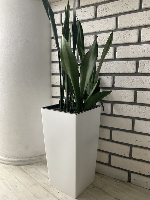 Вазон с цветами двойное дно