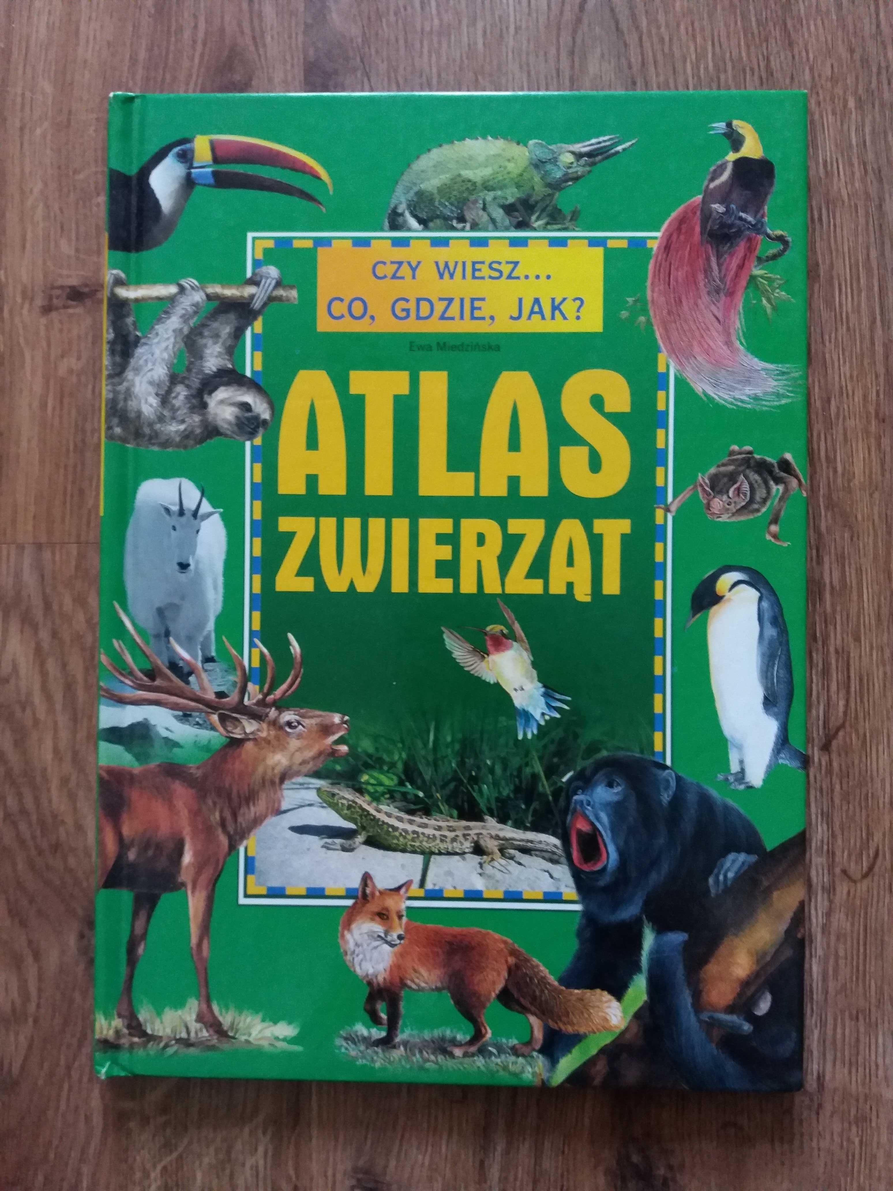 Atlas Zwierząt z serii Czy wiesz Co, gdzie, jak? książka dla dzieci