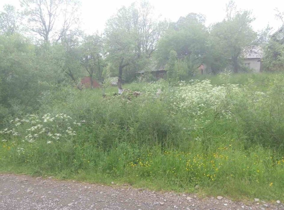 продам земельну ділянку в селі Річка