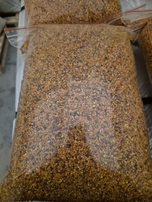 Pyłek pszczeli 10kg