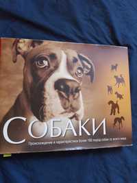 Енциклопедія про собак