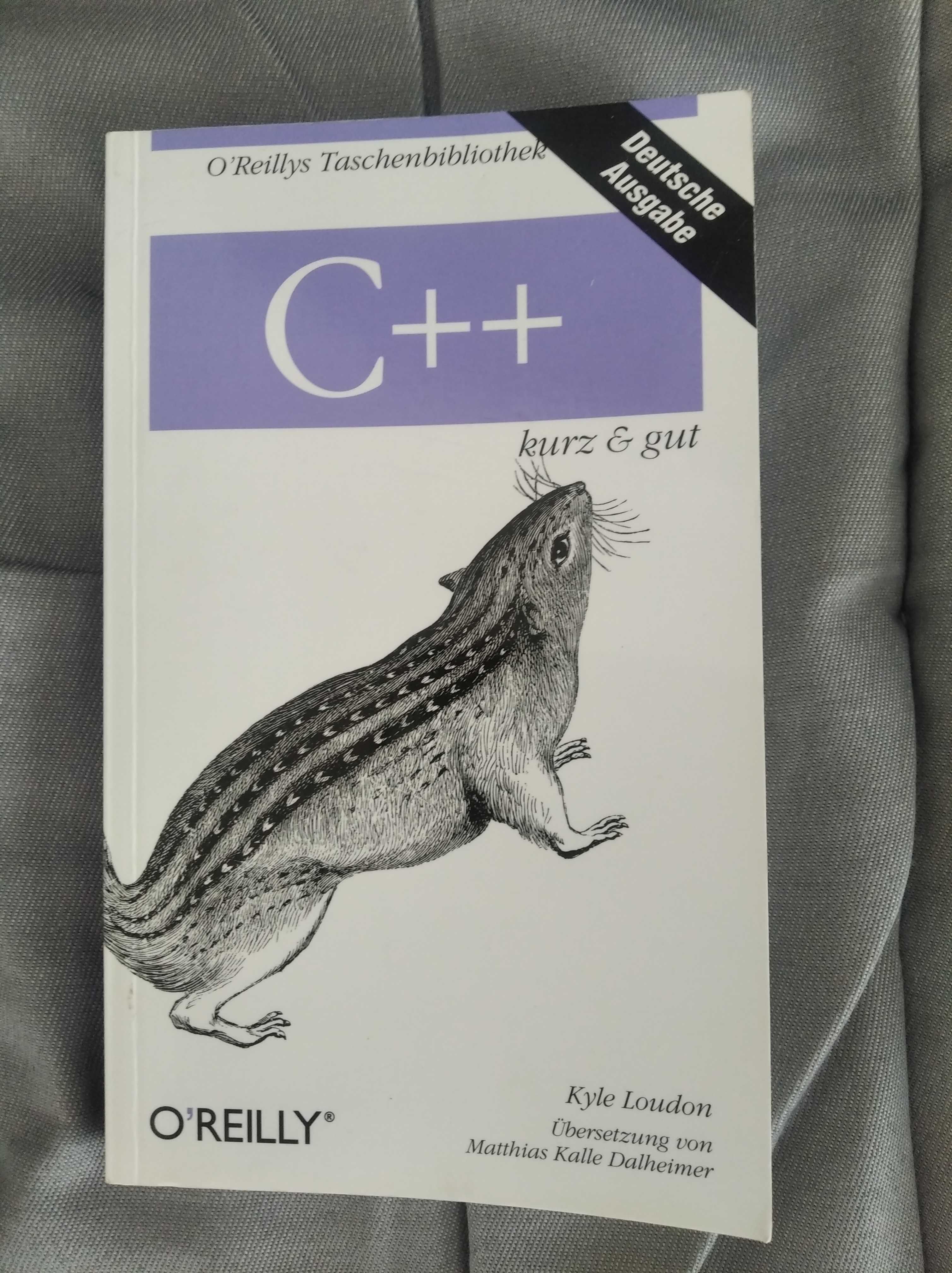 C++ mały podręcznik po niemiecku programowanie programista
