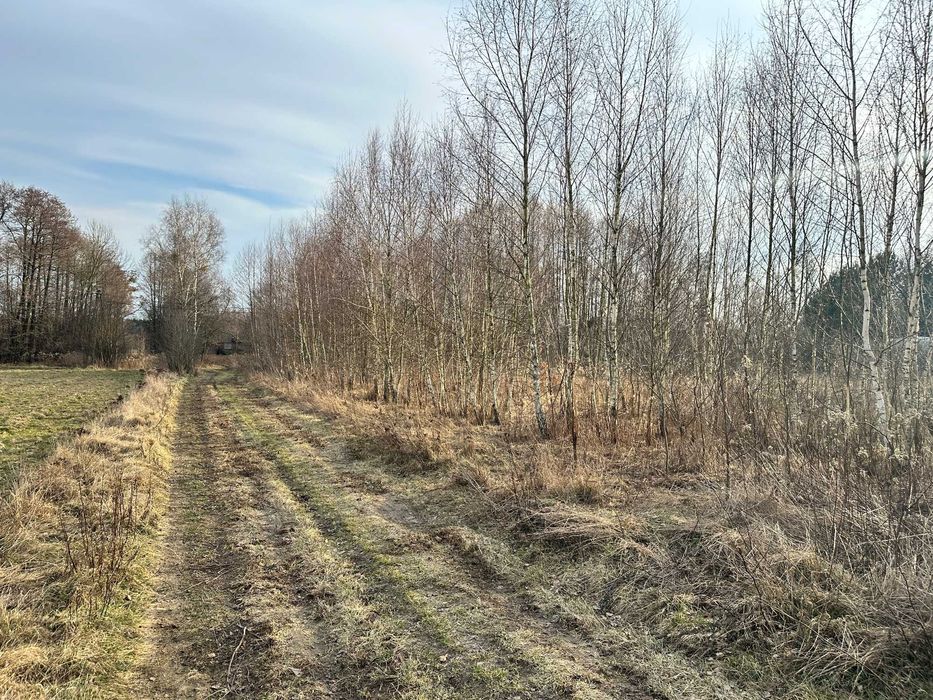 Atrakcyjna Działka 3208 m2. Krubiczew, ustalony MPZP
