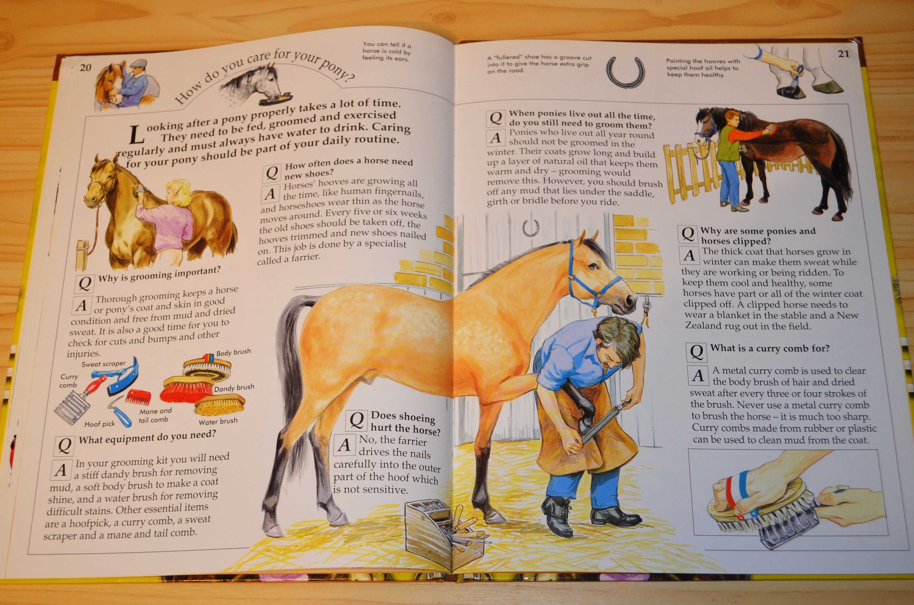 Horses and pony, дитяча книга англійською