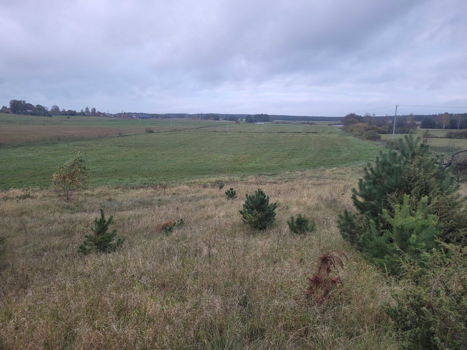 Ziemi rolna na Mazurach Szuć 3.7ha