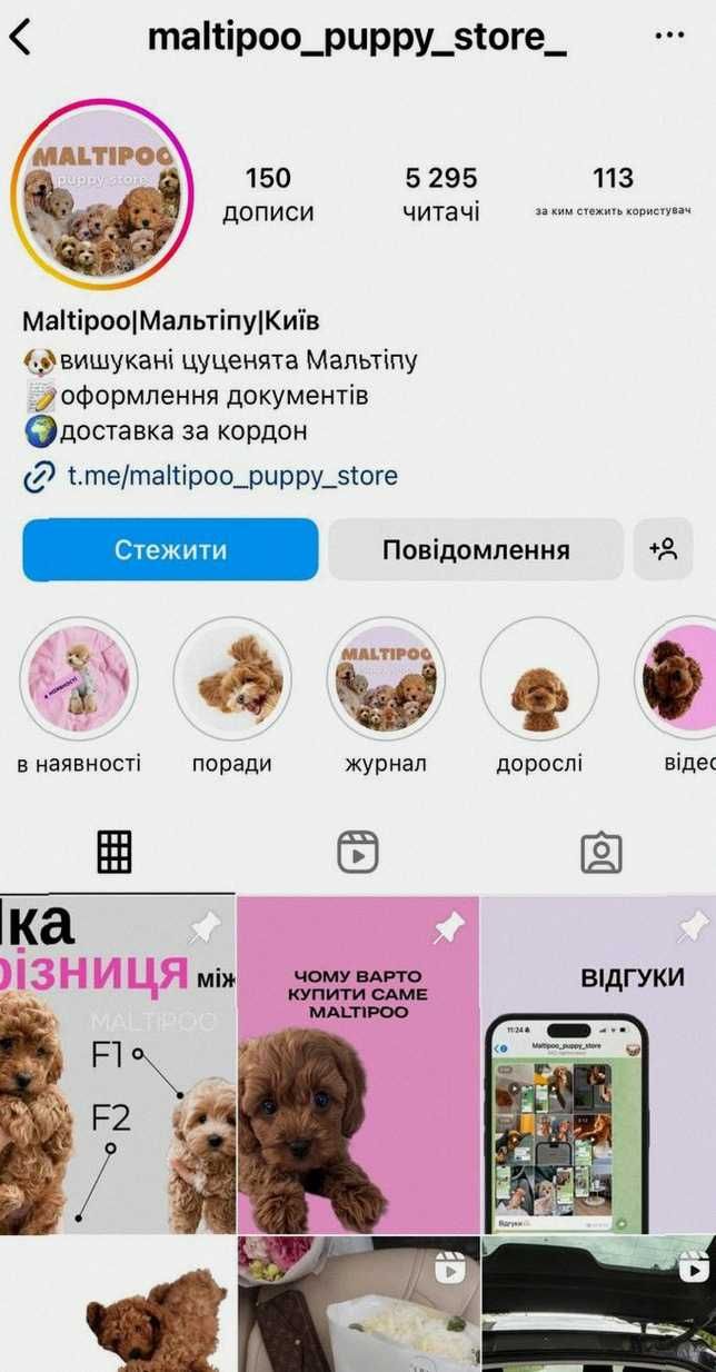 Mальтіпу – дівчинка Солодка і грайлива Чекає на вас