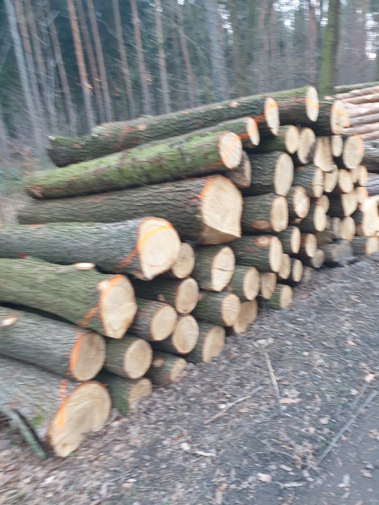 Sprzedam drewno na opał