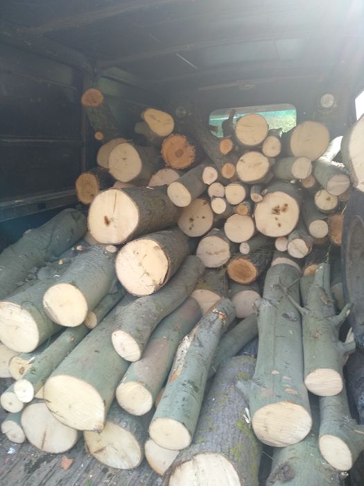 Продам дрова  дуб акація