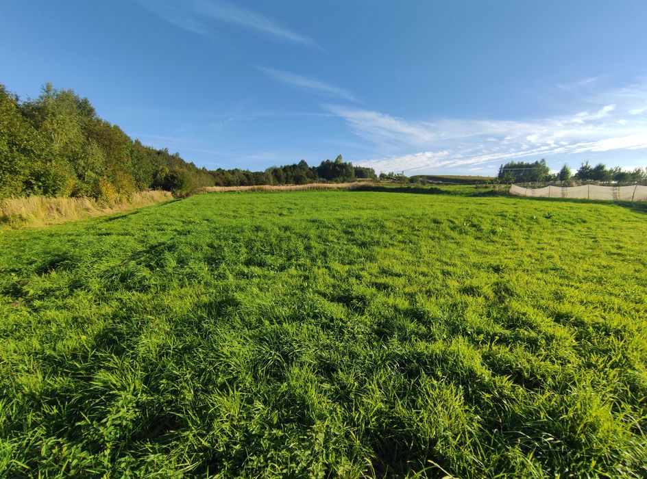 Działka rolno-budowlana 0,1747 ha  PRUCHNIK