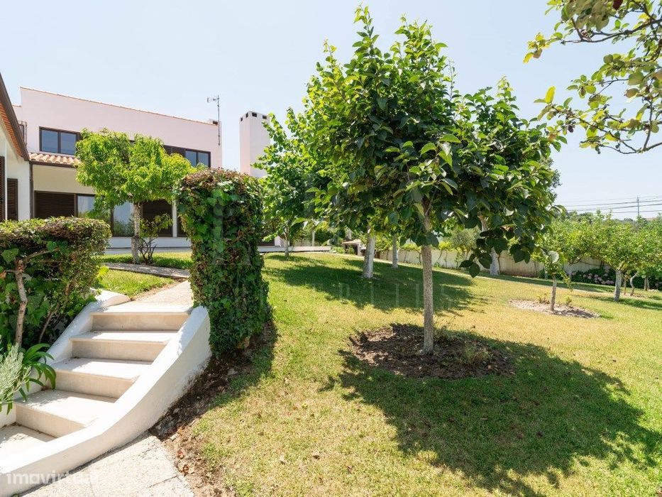 Moradia De Charme Com Terreno De 1.166M2 Em Pereira