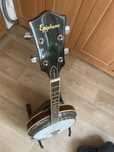 Banjo tenor 4 strunowe (made in USA)