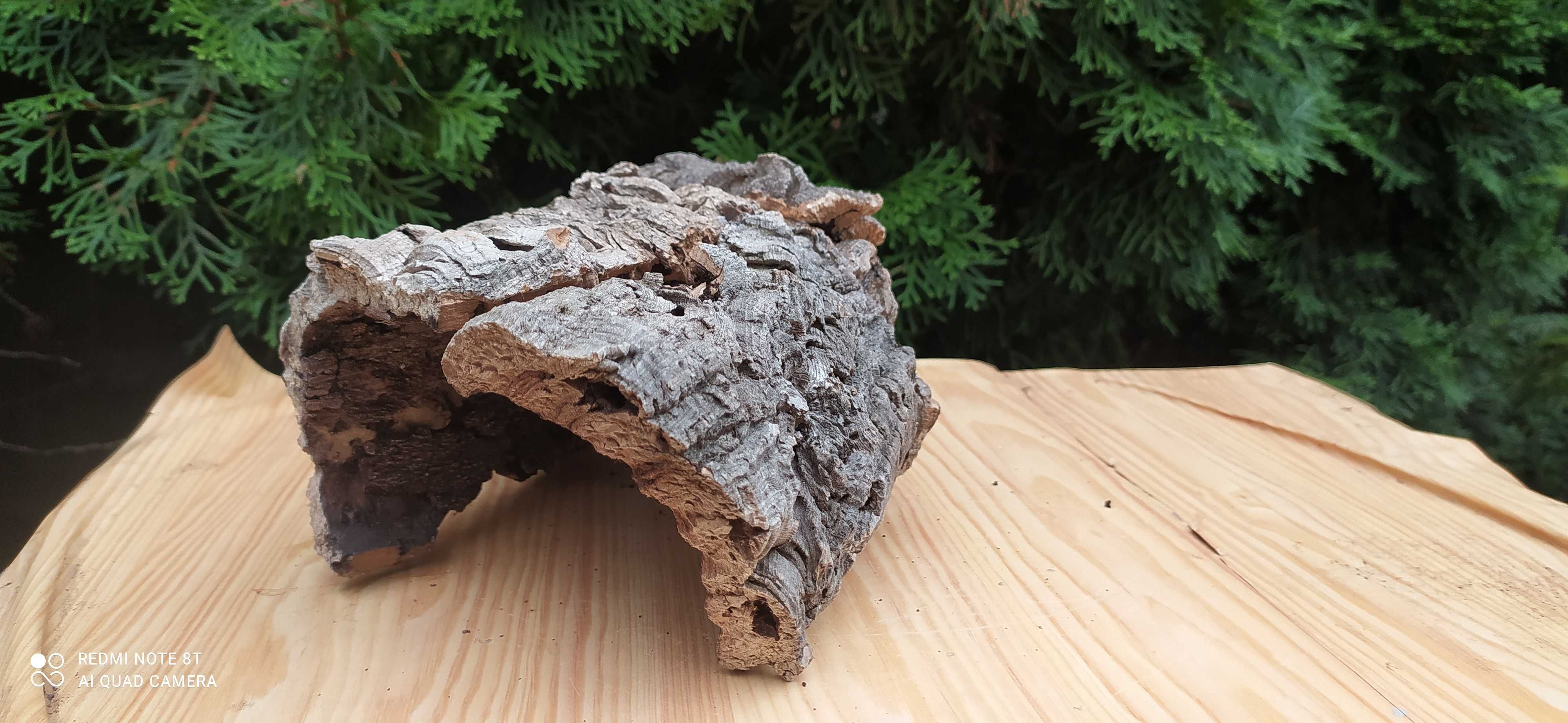 Grota z dębu korkowego do terrarium