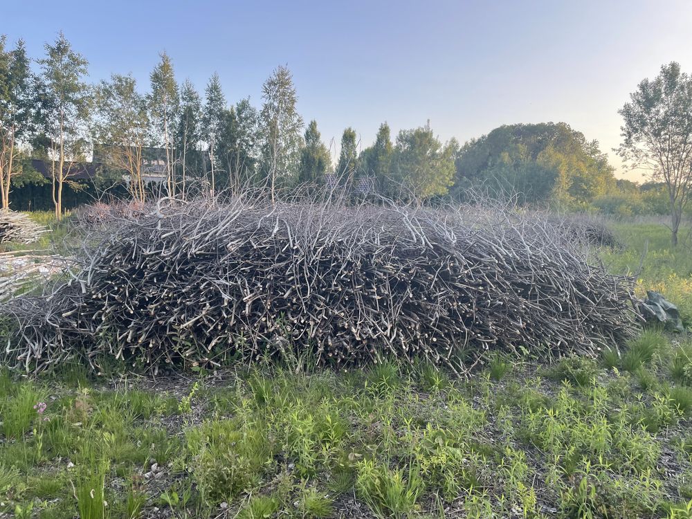 Oddam za darmo gałeziowke pod rębak