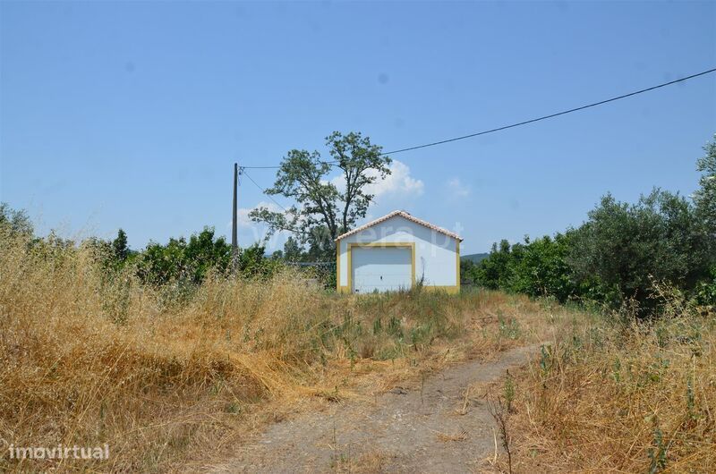 Terreno / Fundão, Salgueiro