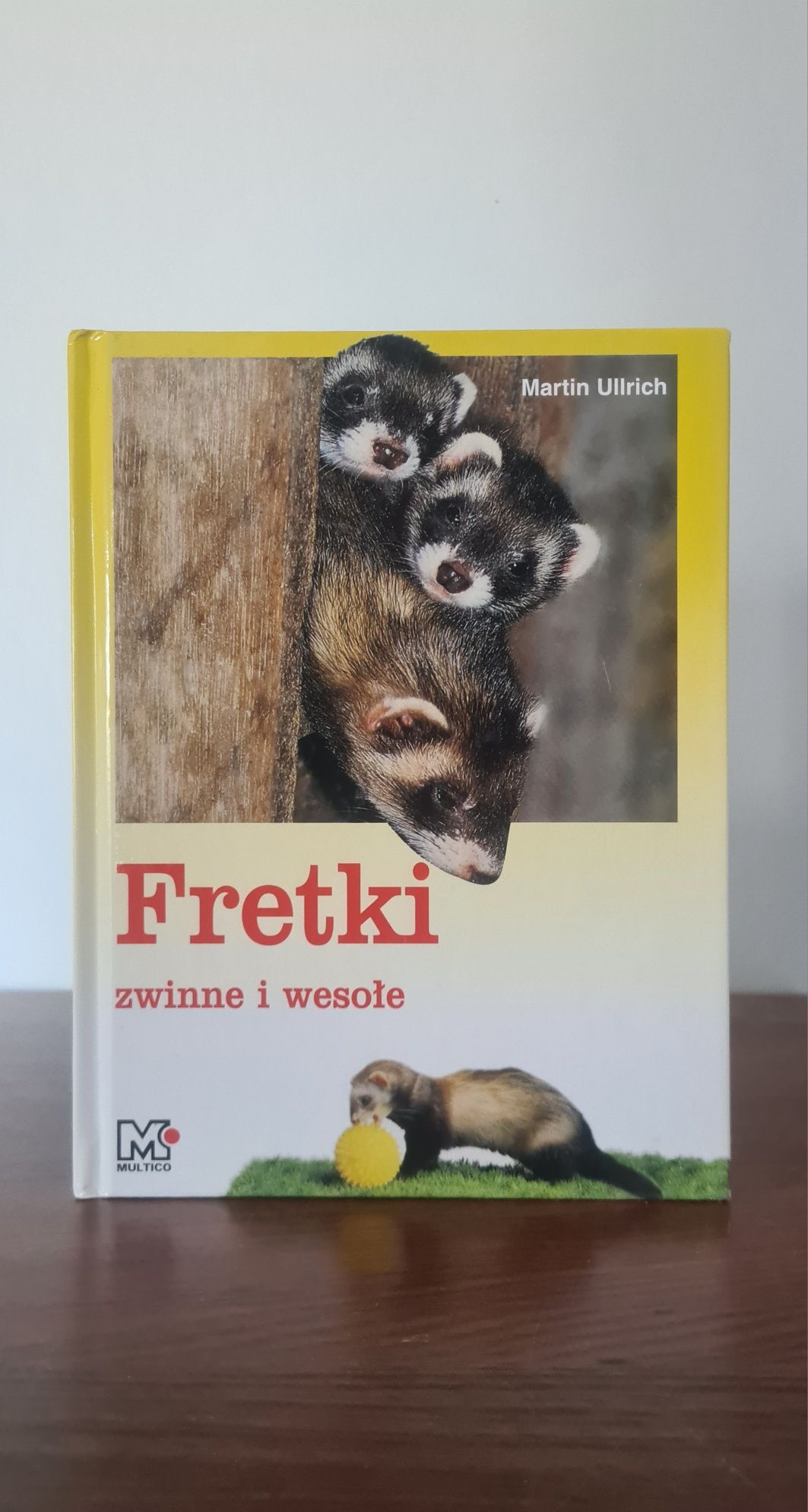 Fretki. Zwinne i wesołe - Martin Ullrich
