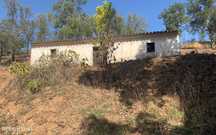 Quintinha tipica em Farelo