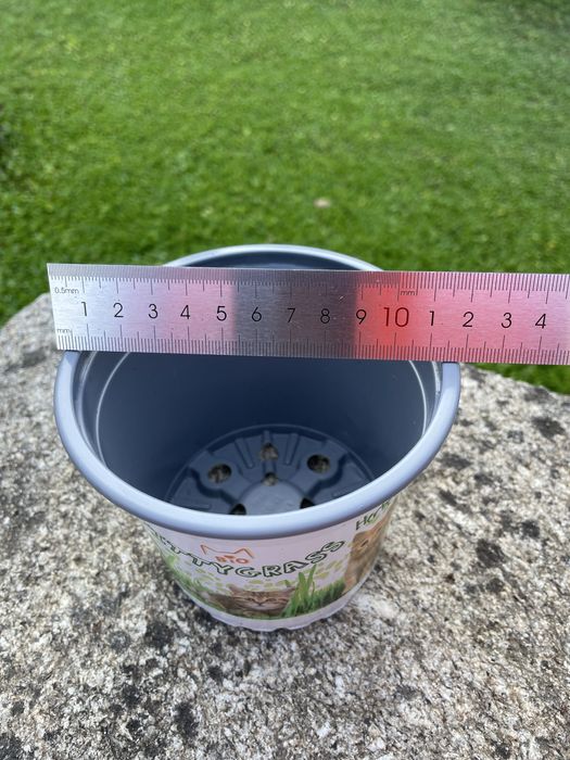 Conjunto de 50 vasos de plástico 12 cm. Gato