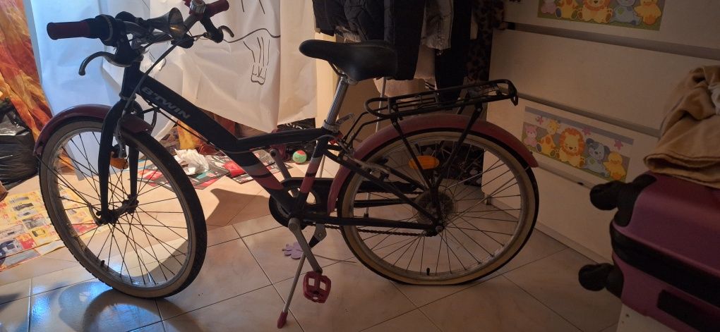 Bicicleta Adulto