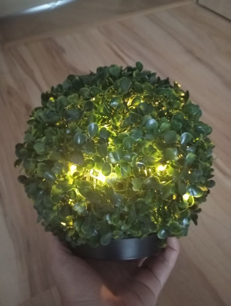 Lampka LED Cooge kula bukszpan.