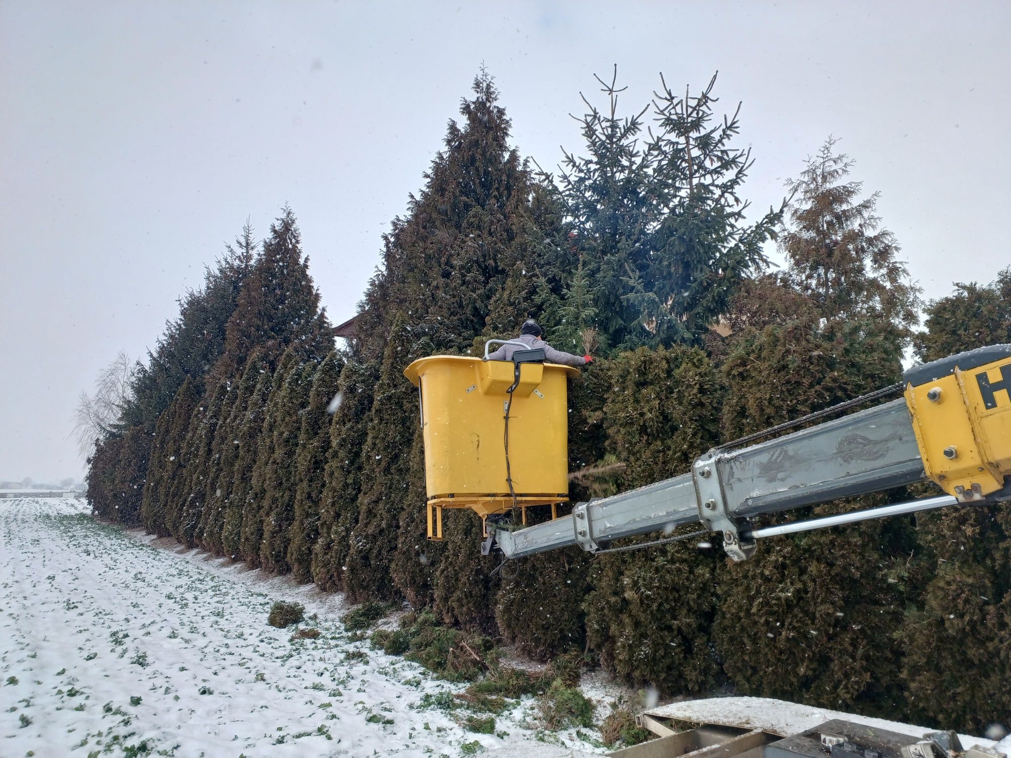 Koszenie trawników,usługi glebogryzarka,rębakiem,frezowanie pni