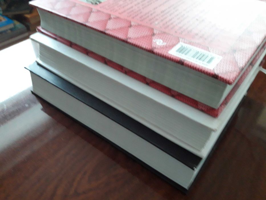 Книги о женщинах /авторы Менгенетти , Лариса Ренар , Каллан/