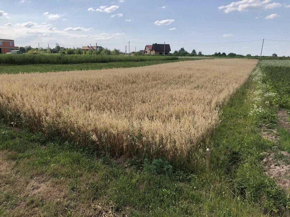 Продаж / Земля/Чукалівка / Франківськ