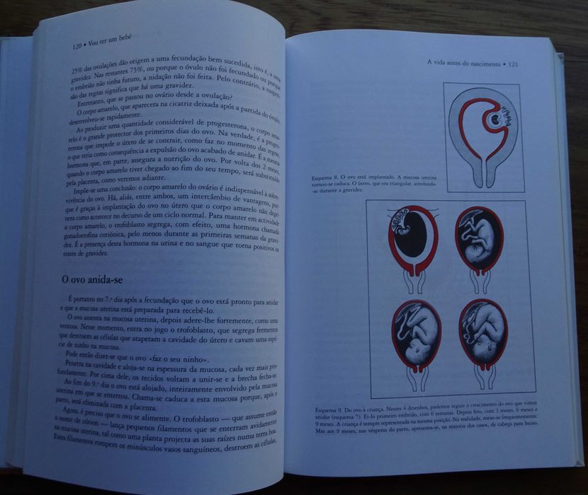 Vou Ter Um Bébé de Laurence Pernoud