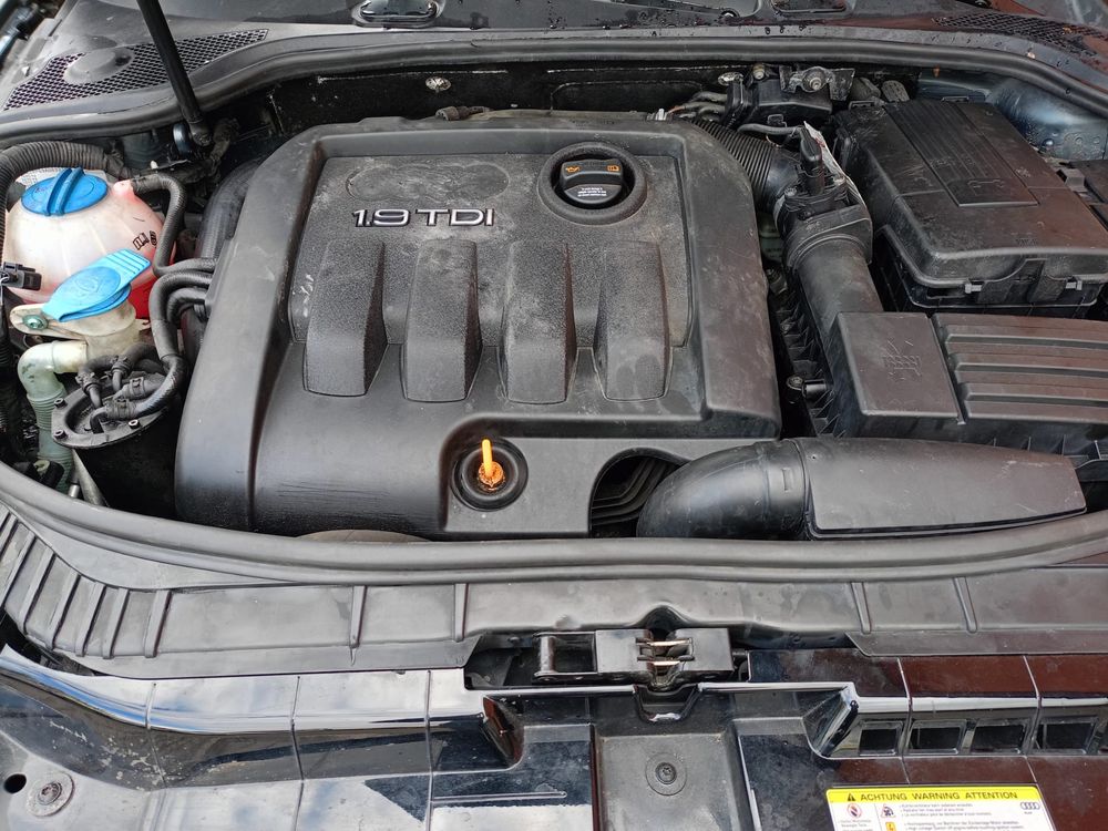 Audi a3 8p 1.9tdi