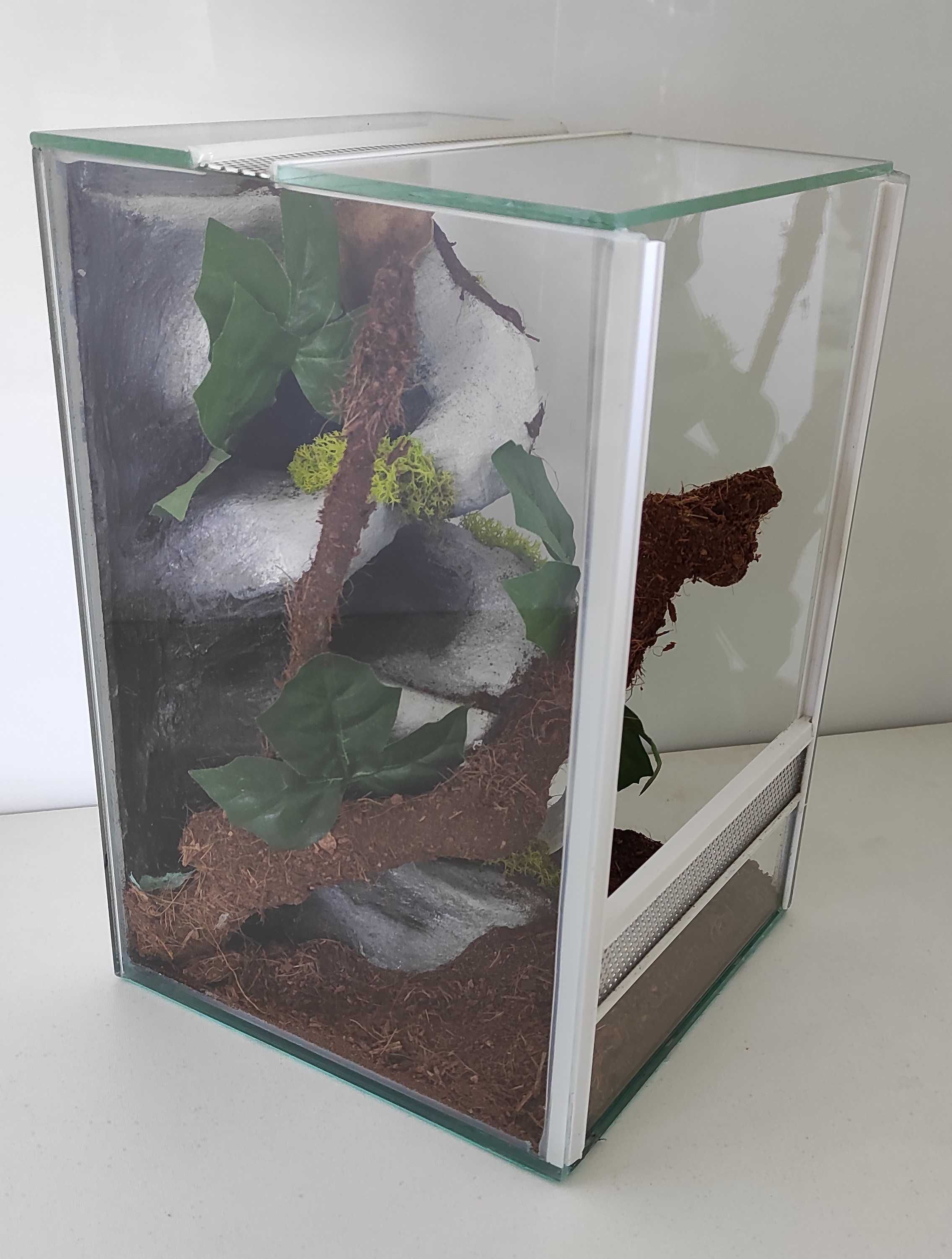 Terrarium dla ptasznika, pająka, TW12KTP, AquaWaves