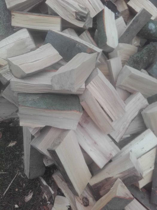 Drewno opałowo /kominkowe 180zł !! Transport !!