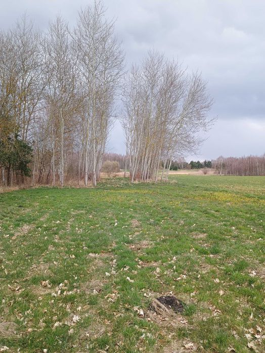 Atrakcyjna działka, 12 km od centrum Kielc