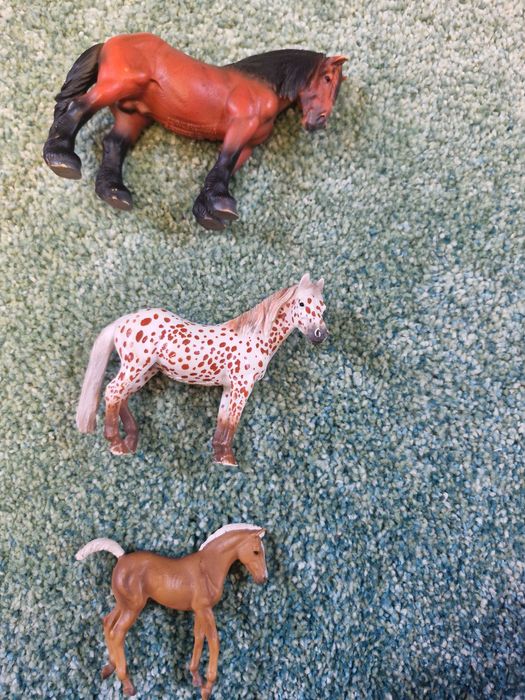 zestaw 3 koni collecta