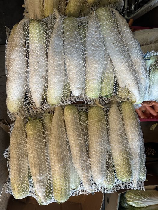 Дайкон і багато різноі зелені