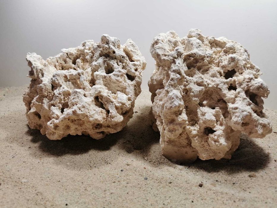 Sucha skała do akwarium morskiego Marco Rock Sklep Akwa. Turkusowe Zoo