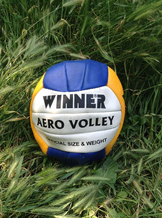 Мяч футбольный волейбольный
