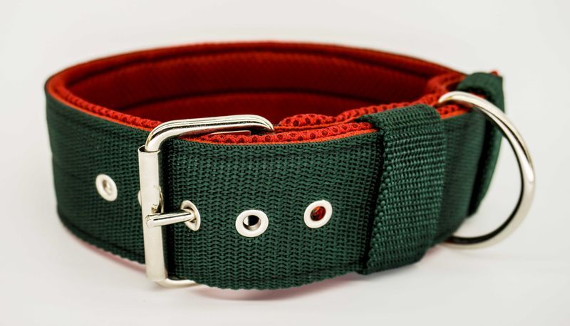 Obroża, szerokość 5cm. Gruba i mocna obroża.