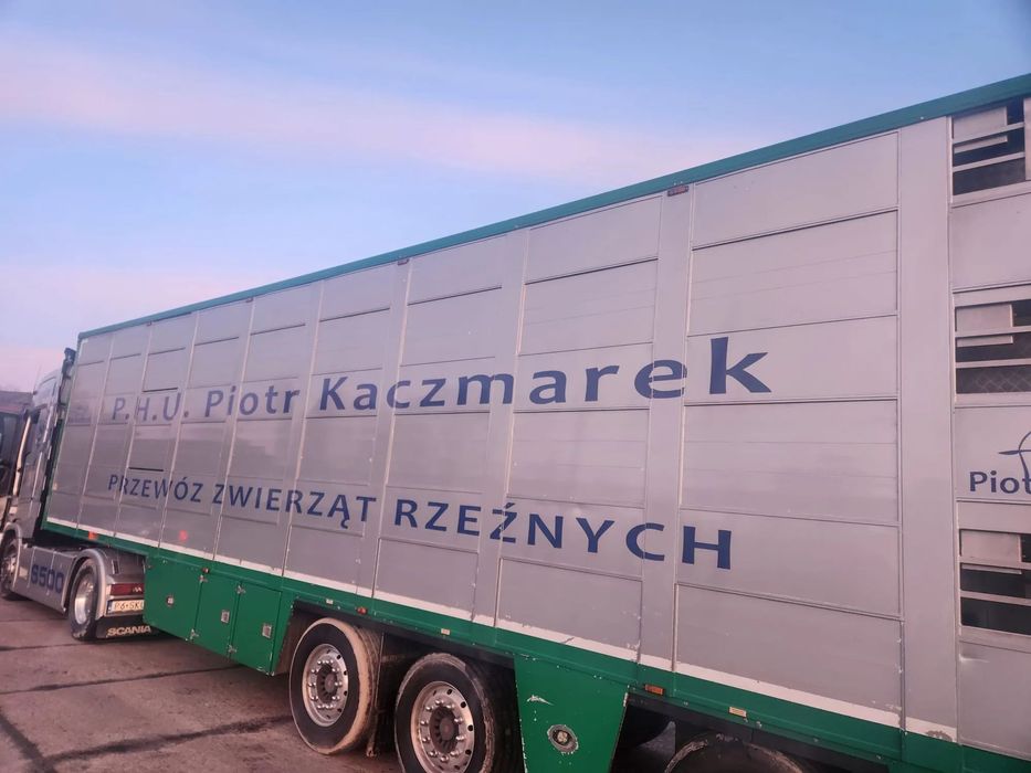 Berdex  naczepa berdex do transportu zwierząt żywca. stałe pokłady