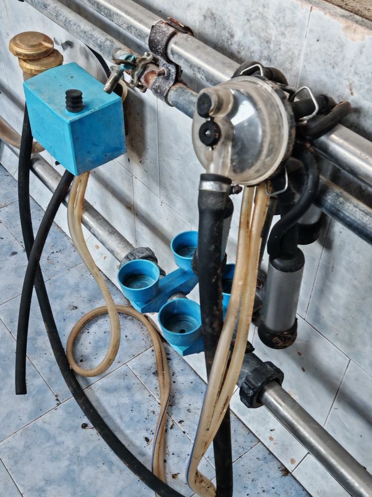 Hala udojowa De Laval 2x4