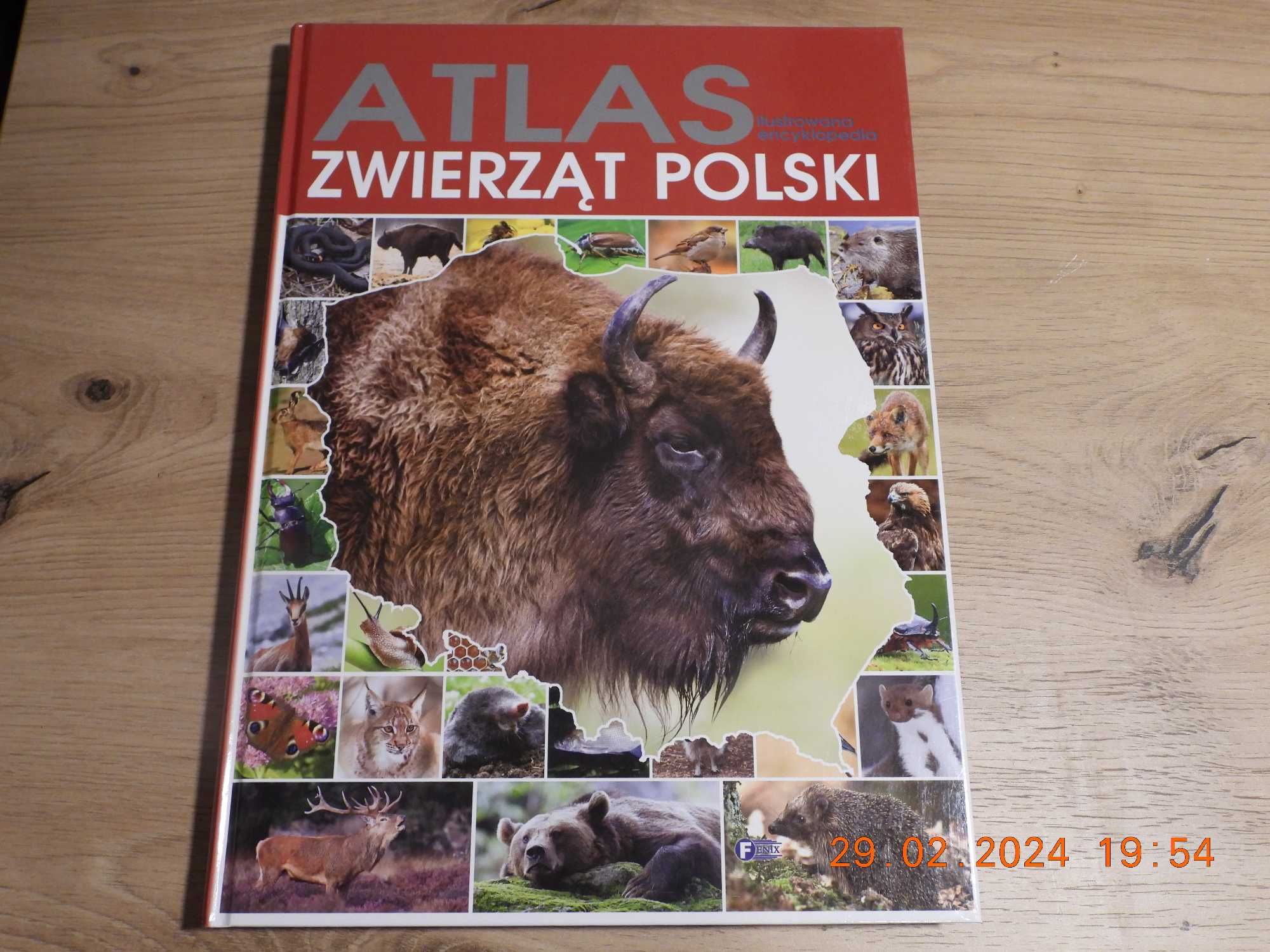 Ilustrowana Encyklopedia. Atlas zwierząt Polski. Praca zbiorowa. NOWA